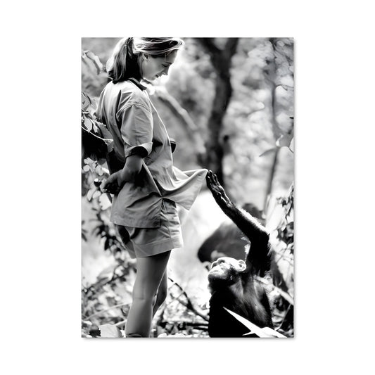 Poster Complicité Sauvage