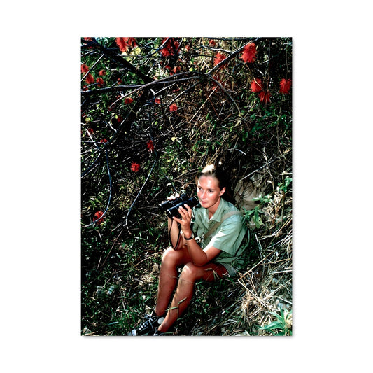 Poster Jane goodall 17818