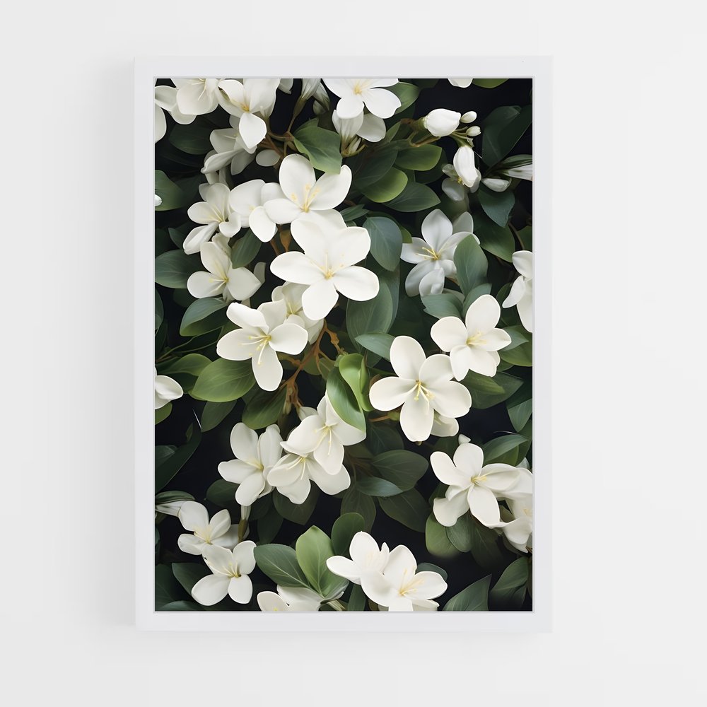 ap-jasmine-1 cadre Blanc
