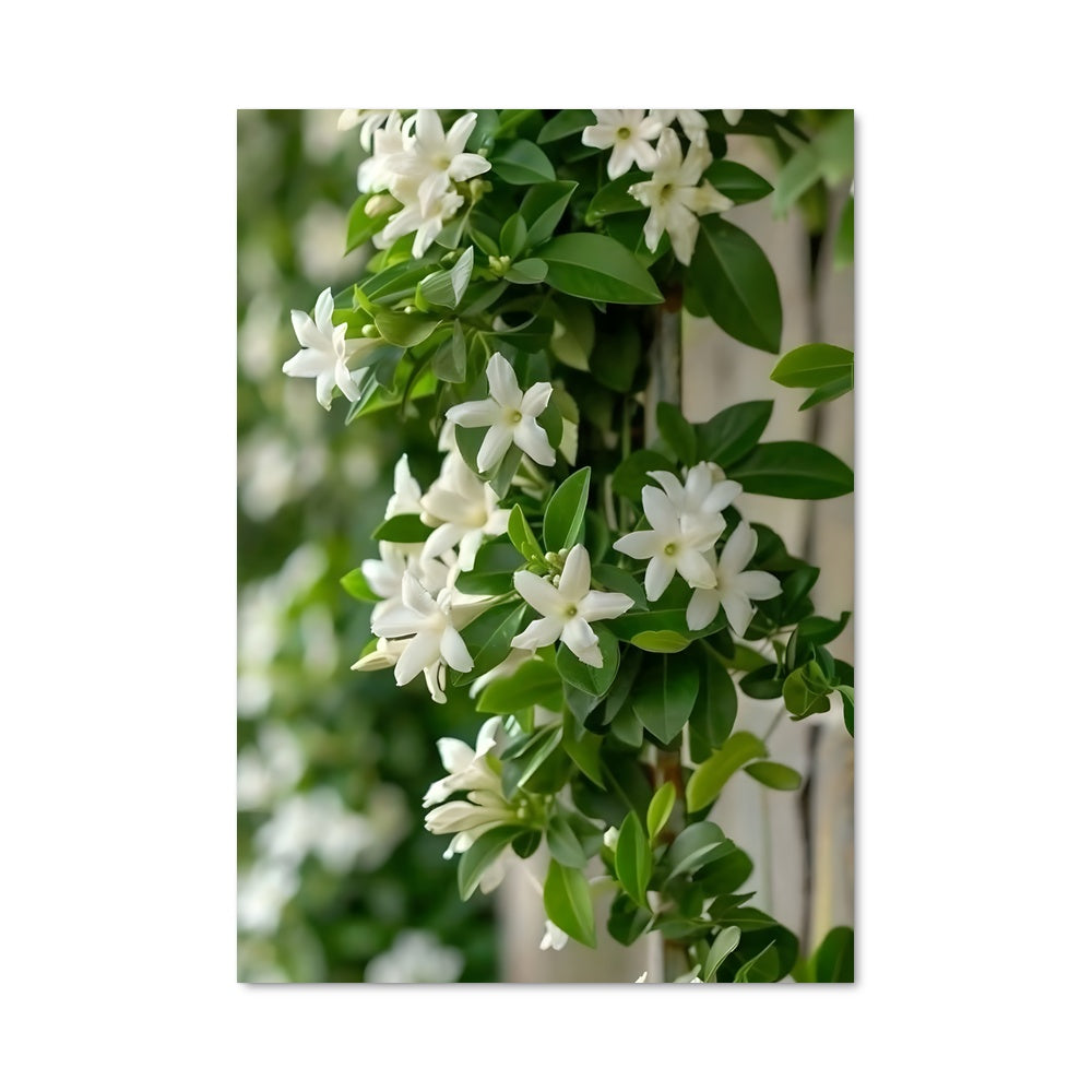 Poster Fleur en Bois