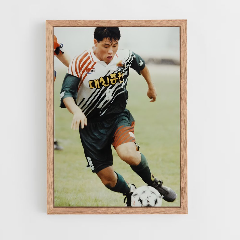 ap-jeonnam dragons-1 cadre Bois clair