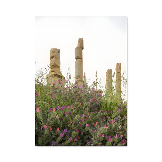 Poster Jardins de Jerash