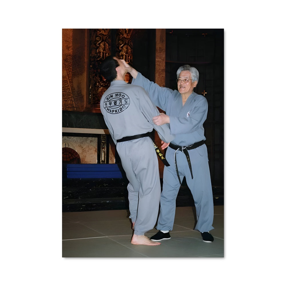 Poster Maître du Karate