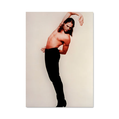Poster Pasión de Danza