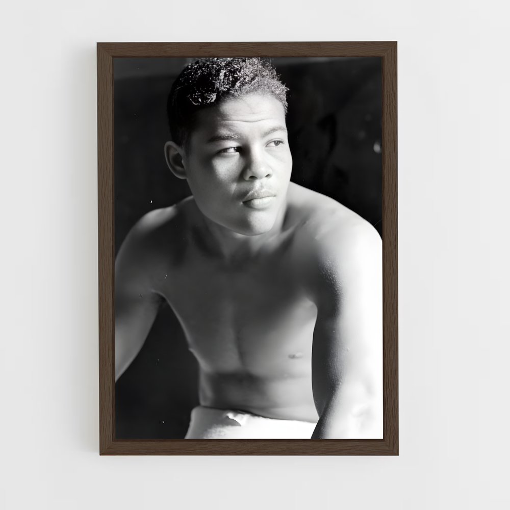 ap-joe louis-3 cadre Bois foncé