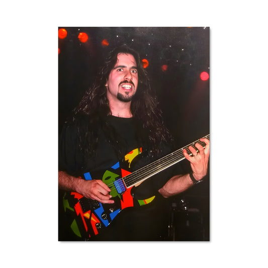 Poster Longs Cheveux et Guitares