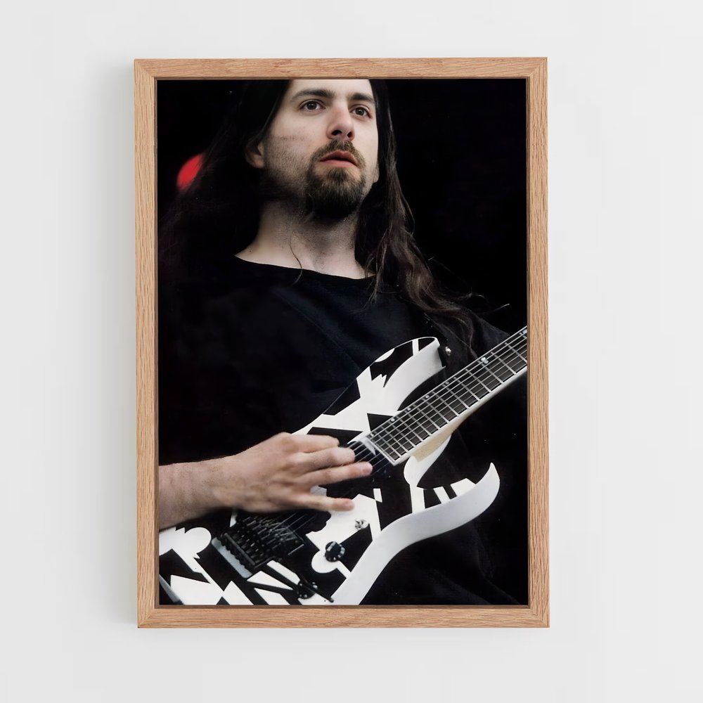 ap-john petrucci-8 cadre Bois clair