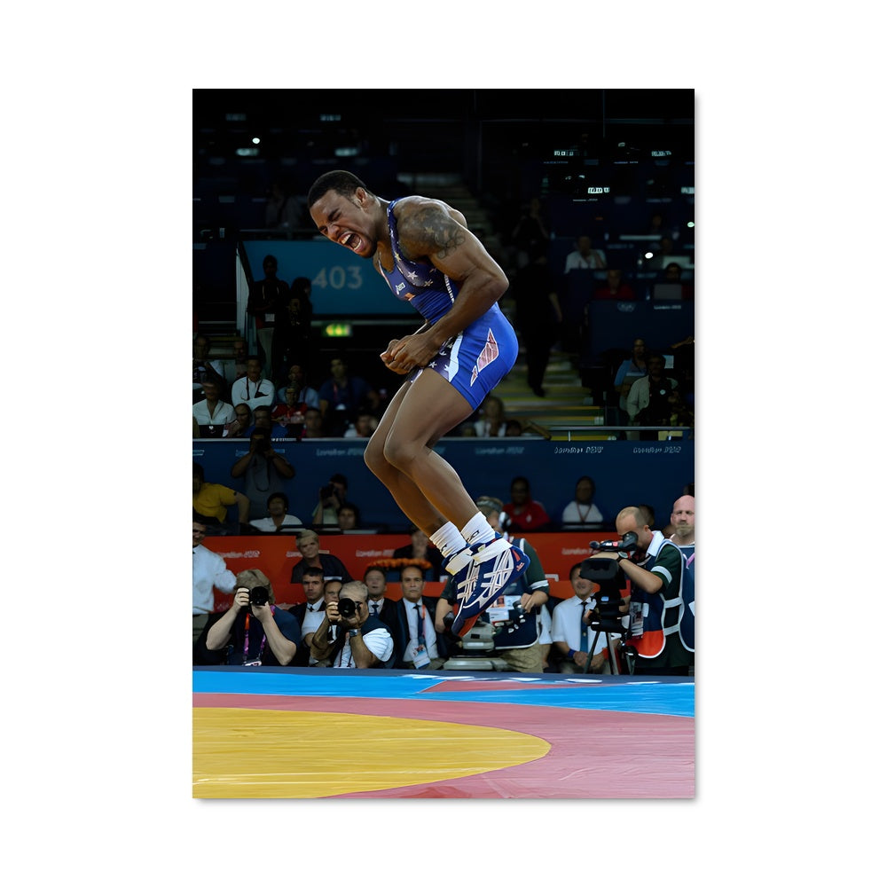 Poster Vitesse Olympique