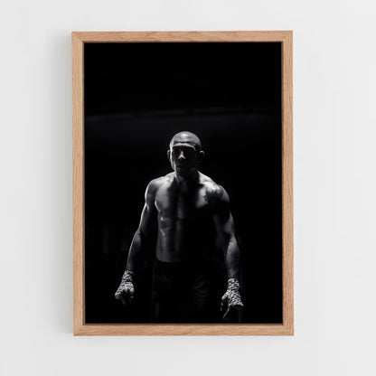 ap-jose aldo-3 cadre Bois clair