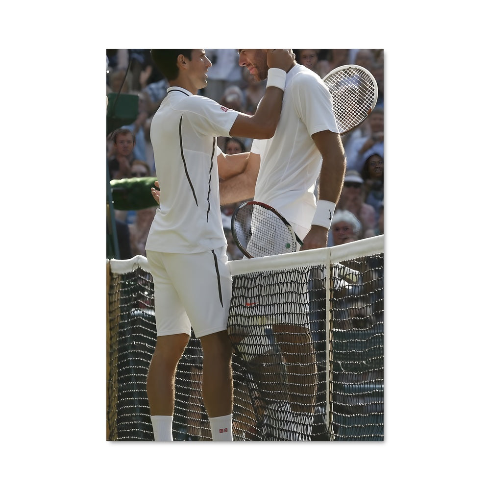 Poster Juan martin del potro 68754