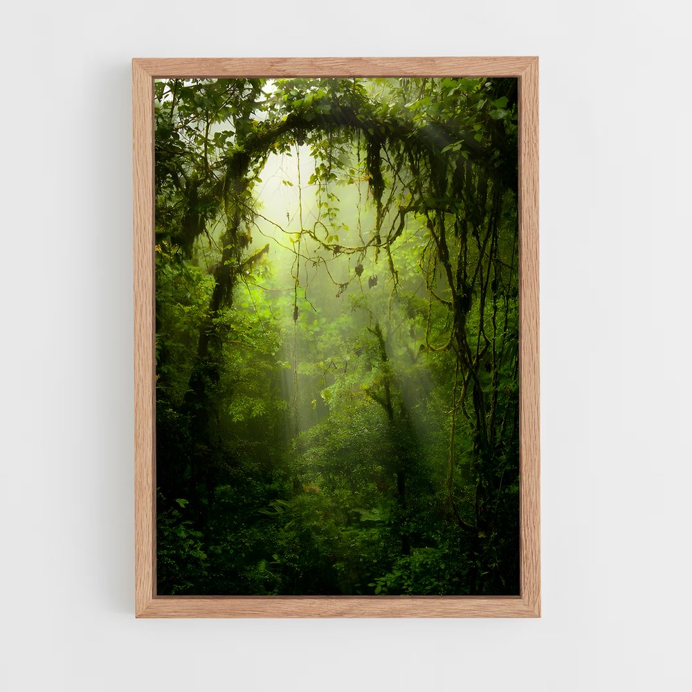 ap-jungle-1 cadre Bois clair
