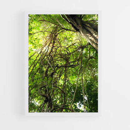 ap-jungle vine-1 cadre Blanc