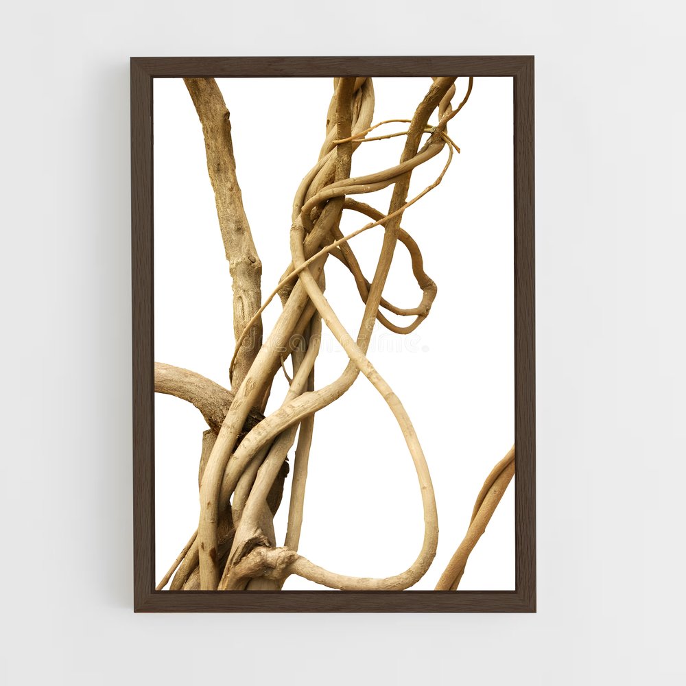 ap-jungle vine-2 cadre Bois foncé