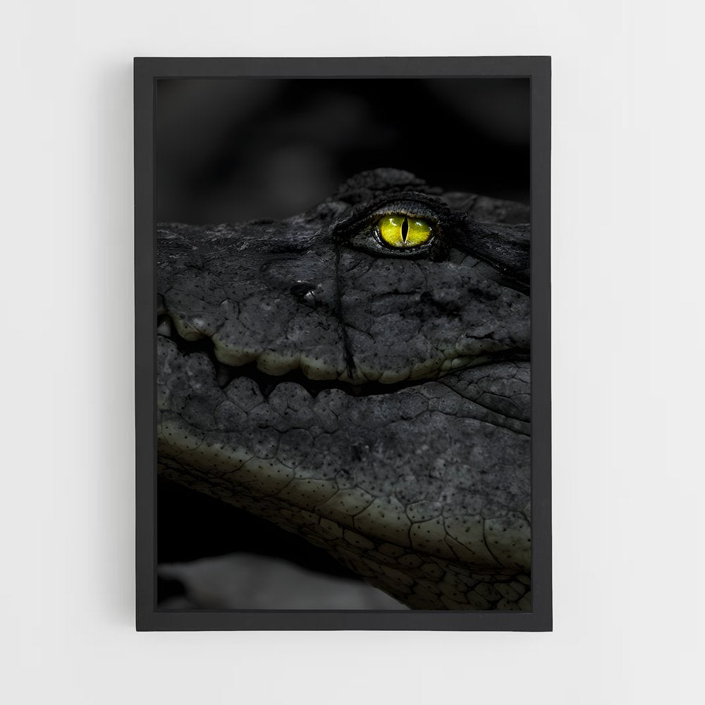 ap-kachikally crocodile pool-1 cadre Noir