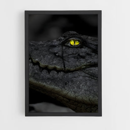 ap-kachikally crocodile pool-1 cadre Noir
