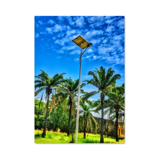 Poster Lumière de Palmiers