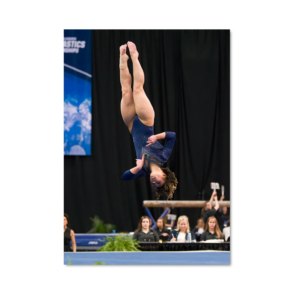 Poster Katelyn ohashi 66556
