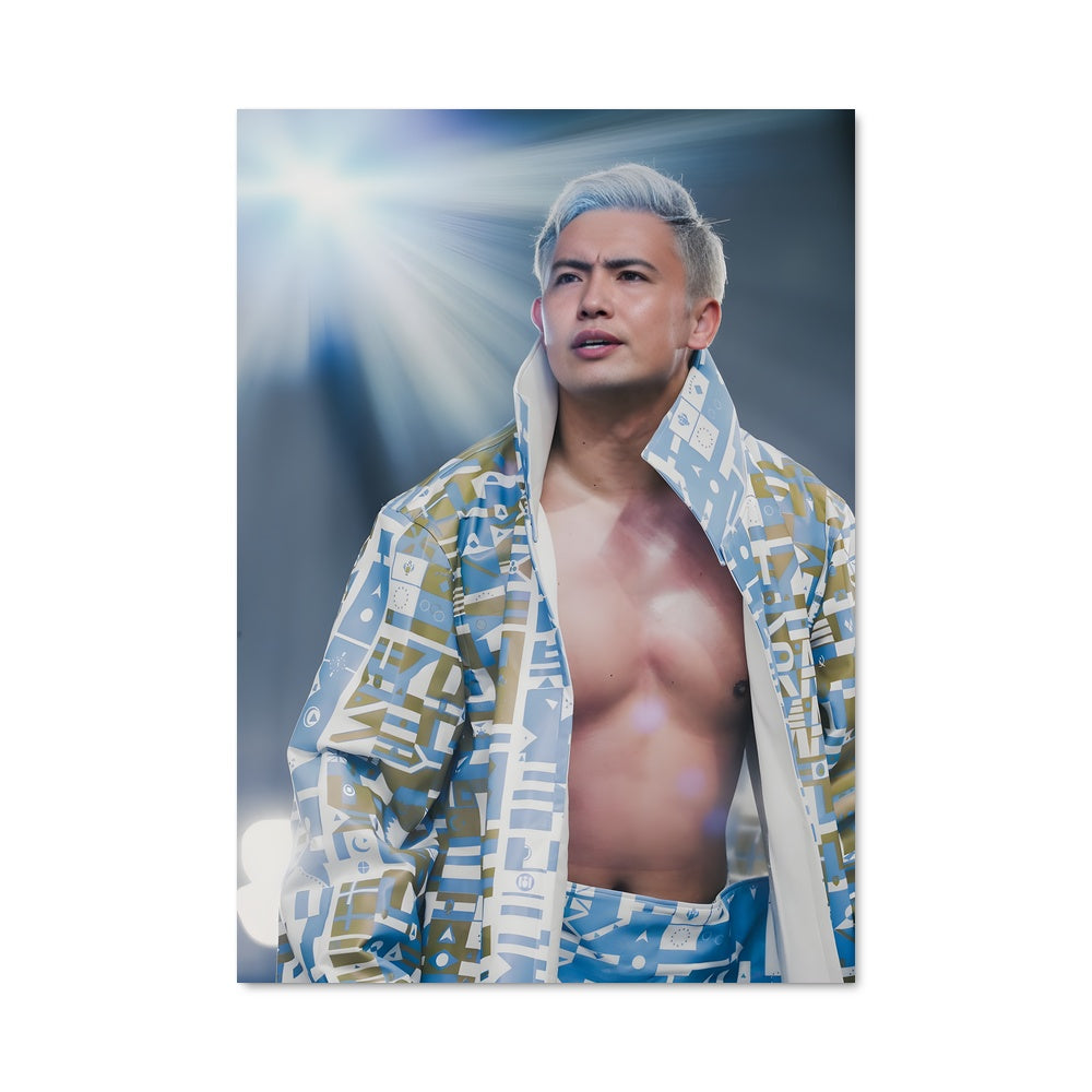 Poster Le Champion Éblouissant