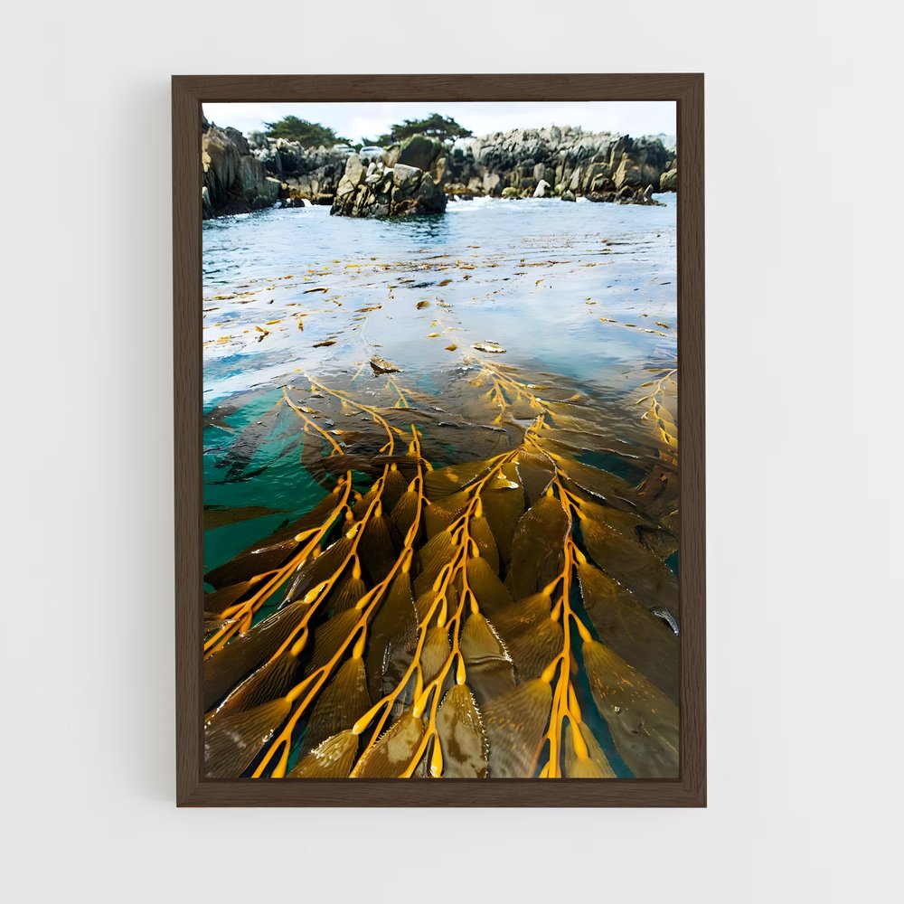 ap-kelp-1 cadre Bois foncé