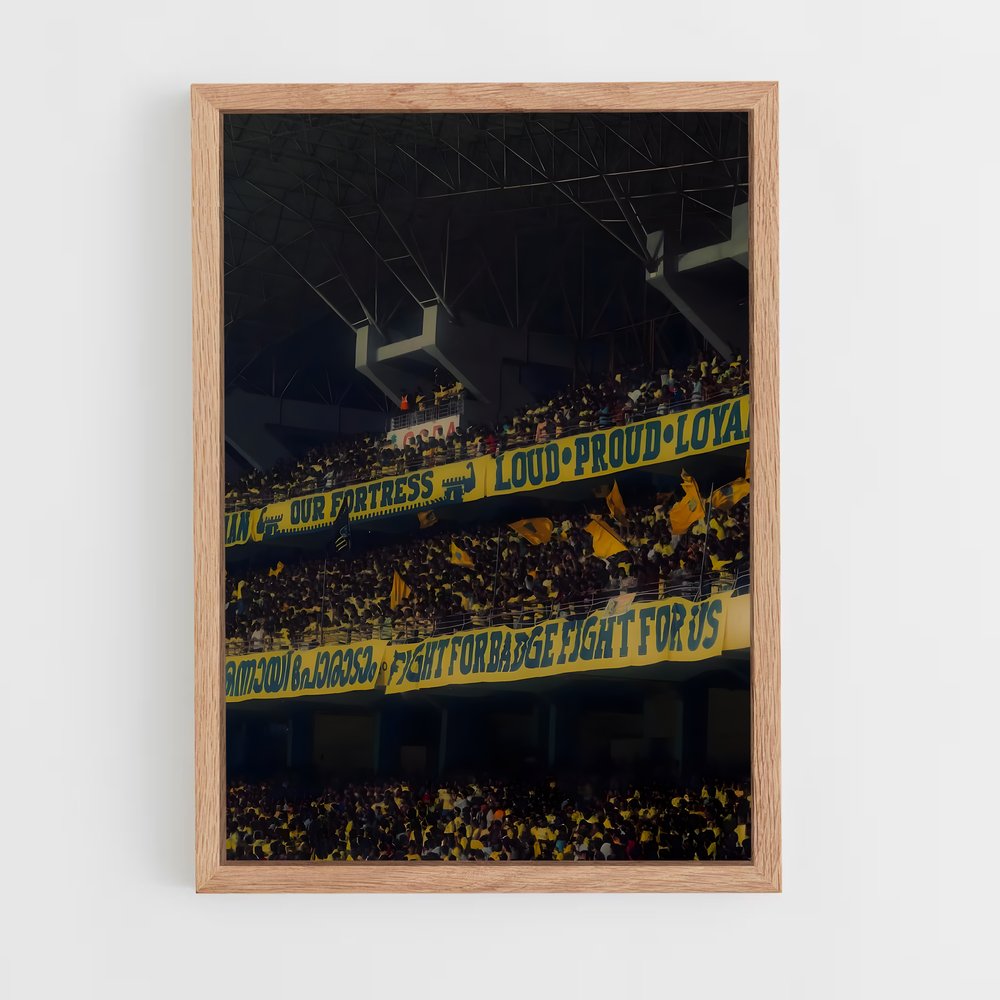 ap-kerala blasters fc-7 cadre Bois clair