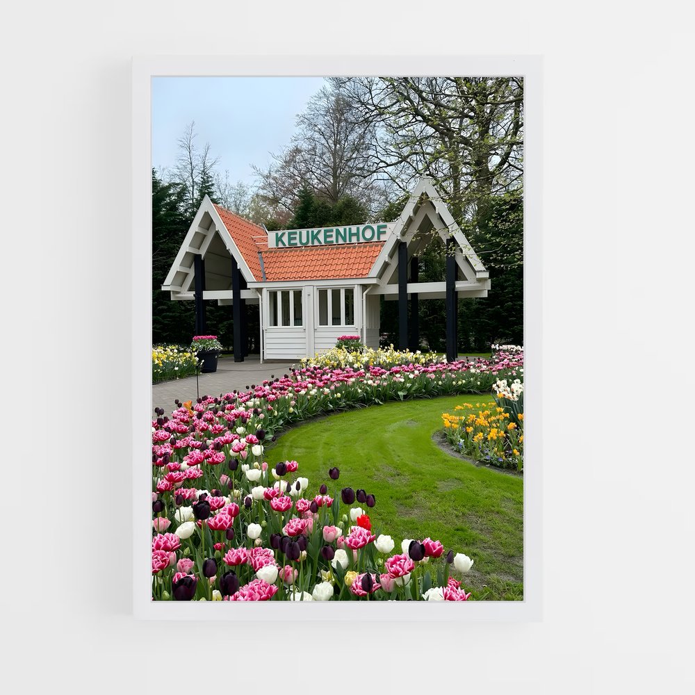 ap-keukenhof gardens-5 cadre Blanc