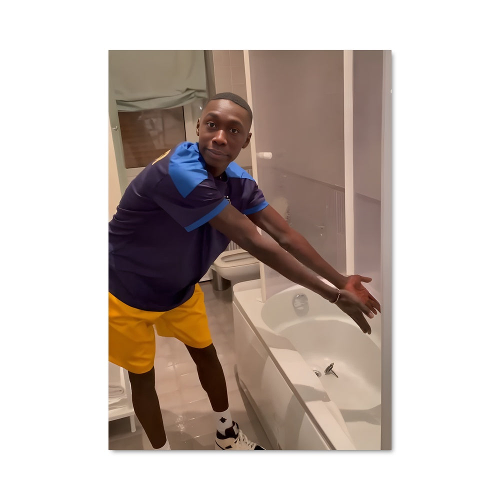 Poster Toile de Toilette