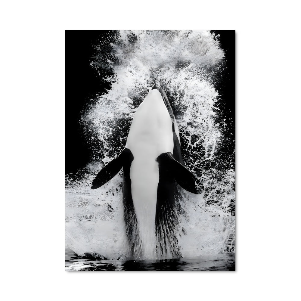 Poster Saute de la Mer