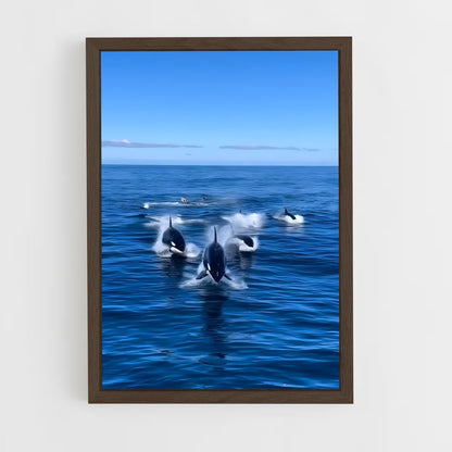 ap-killer whale-9 cadre Bois foncé