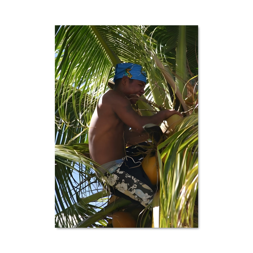 Poster L'Escalade Tropicale