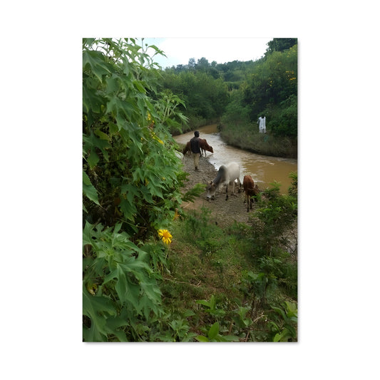 Poster La Traversée des Éléments