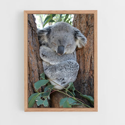 ap-koala-1 cadre Bois clair