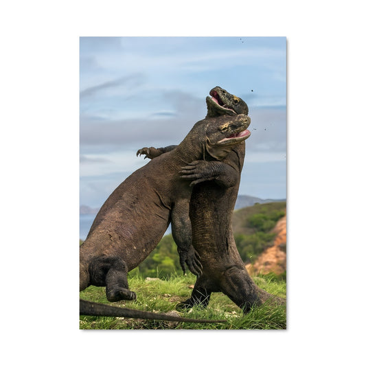 Poster Komodo dragon 83859