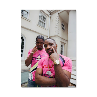 Poster Brothers in Pink