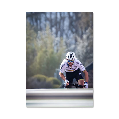Poster Descente Libre