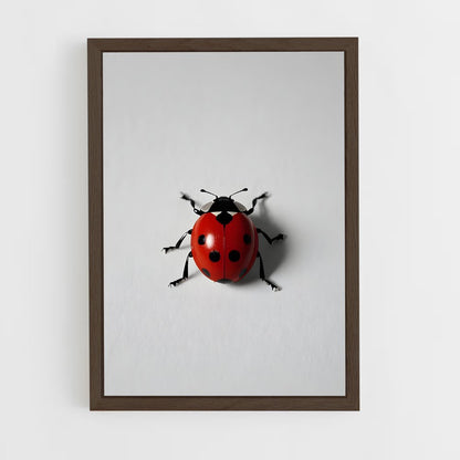 ap-ladybug-13 cadre Bois foncé