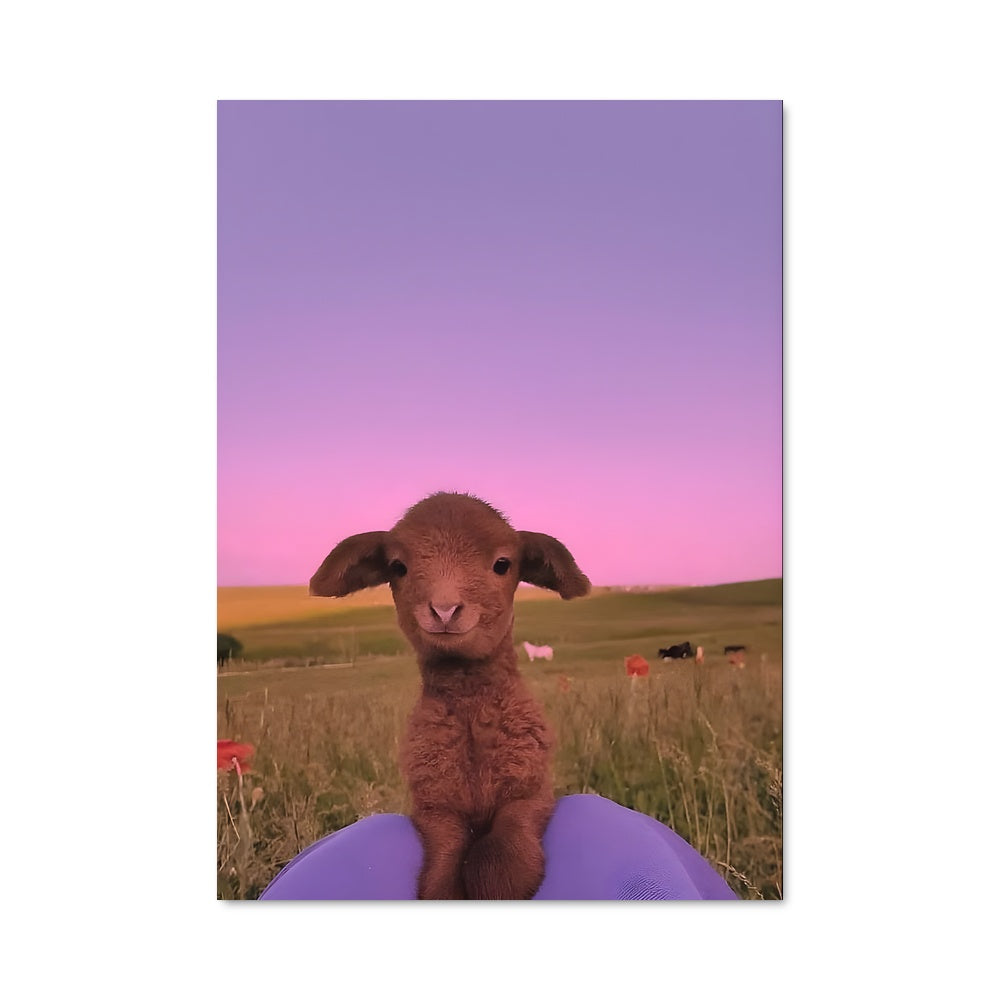 Poster Agneau Surprenant