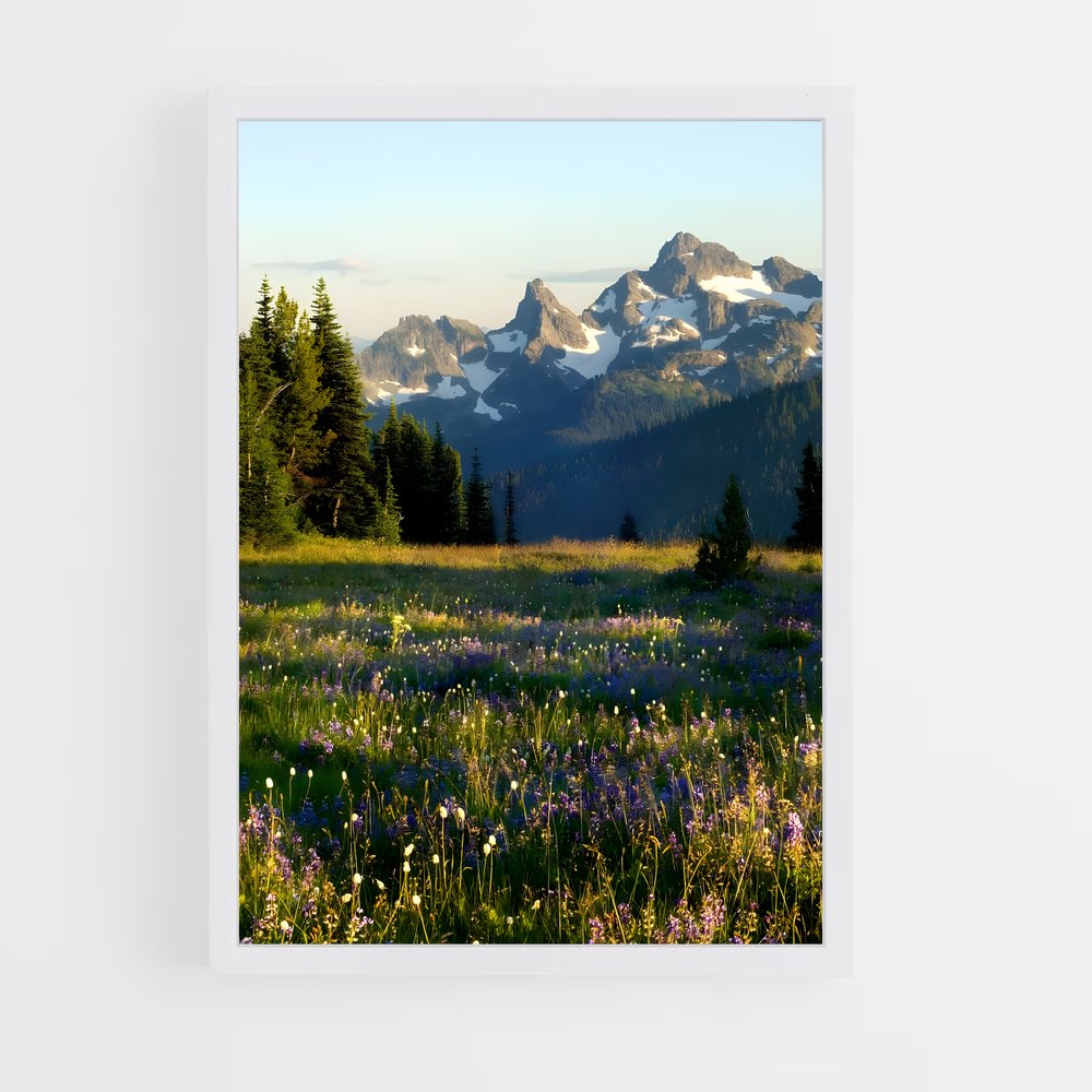 ap-landscape-9 cadre Blanc