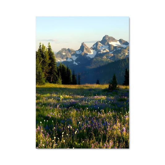 Poster Champ des Cîmes