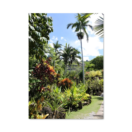 Poster Chemin des Tropiques