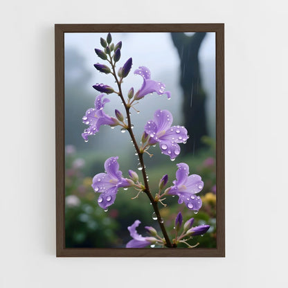 ap-lavender-13 cadre Bois foncé