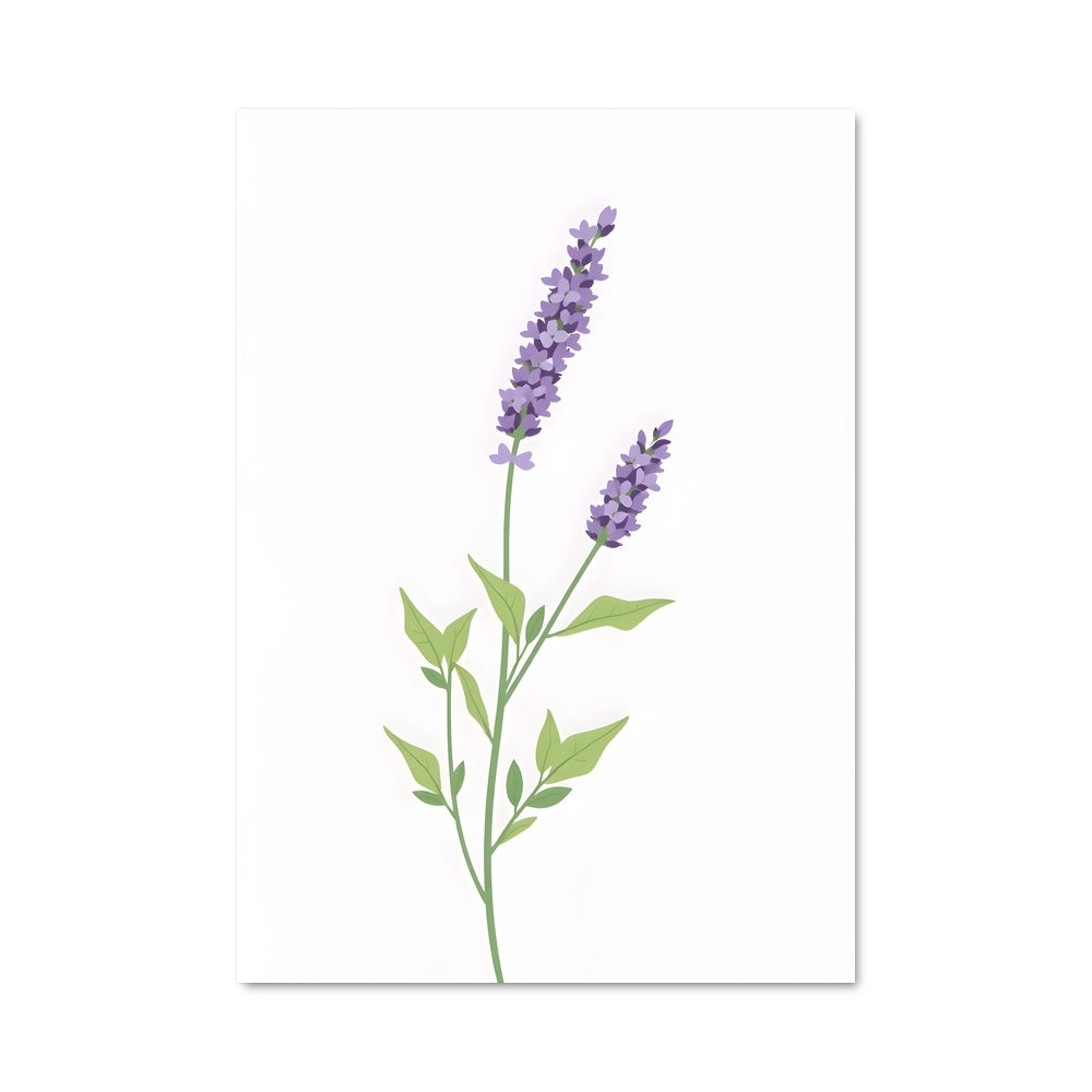 Poster Lavender 96622