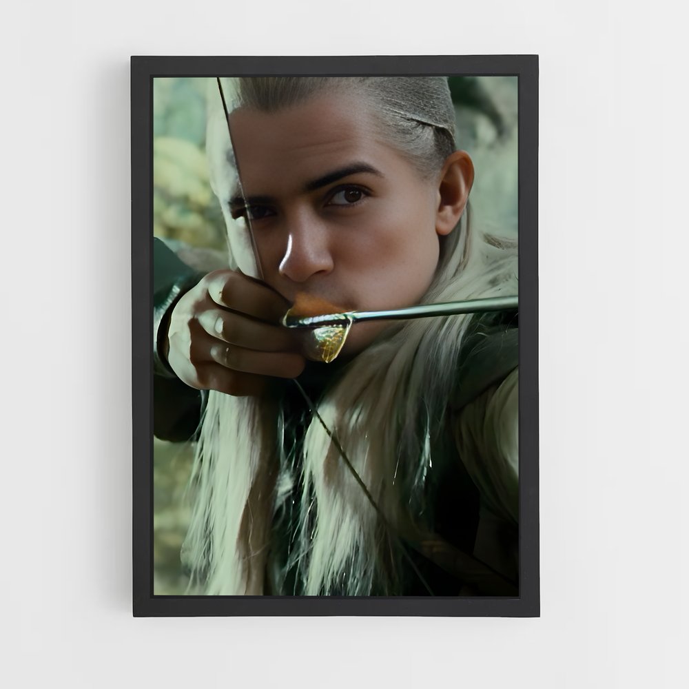 ap-legolas-2 cadre Noir