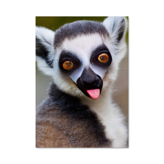 Poster Lemur Mania