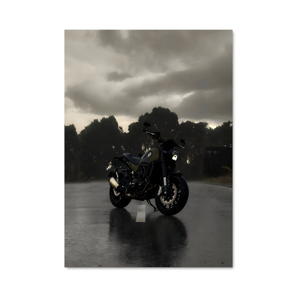 Poster Leoncino 500 81850