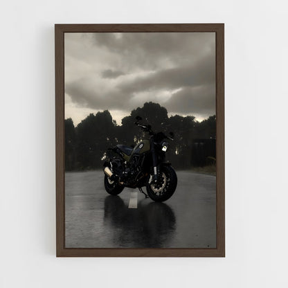 ap-leoncino 500-1 cadre Bois foncé