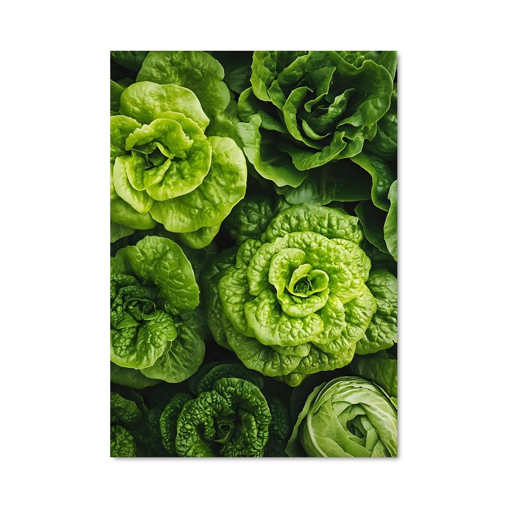 Poster Lettuce Love