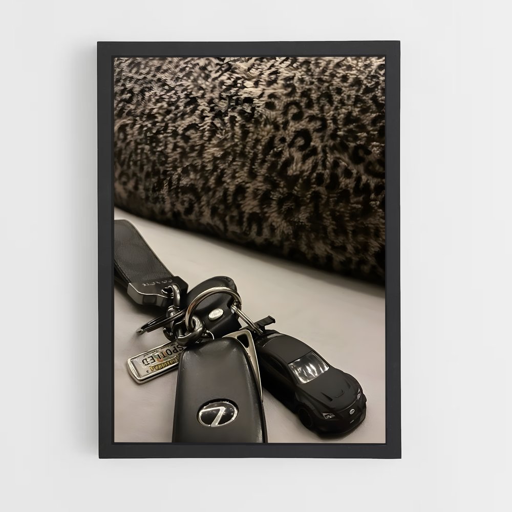 ap-lexus-1 cadre Noir