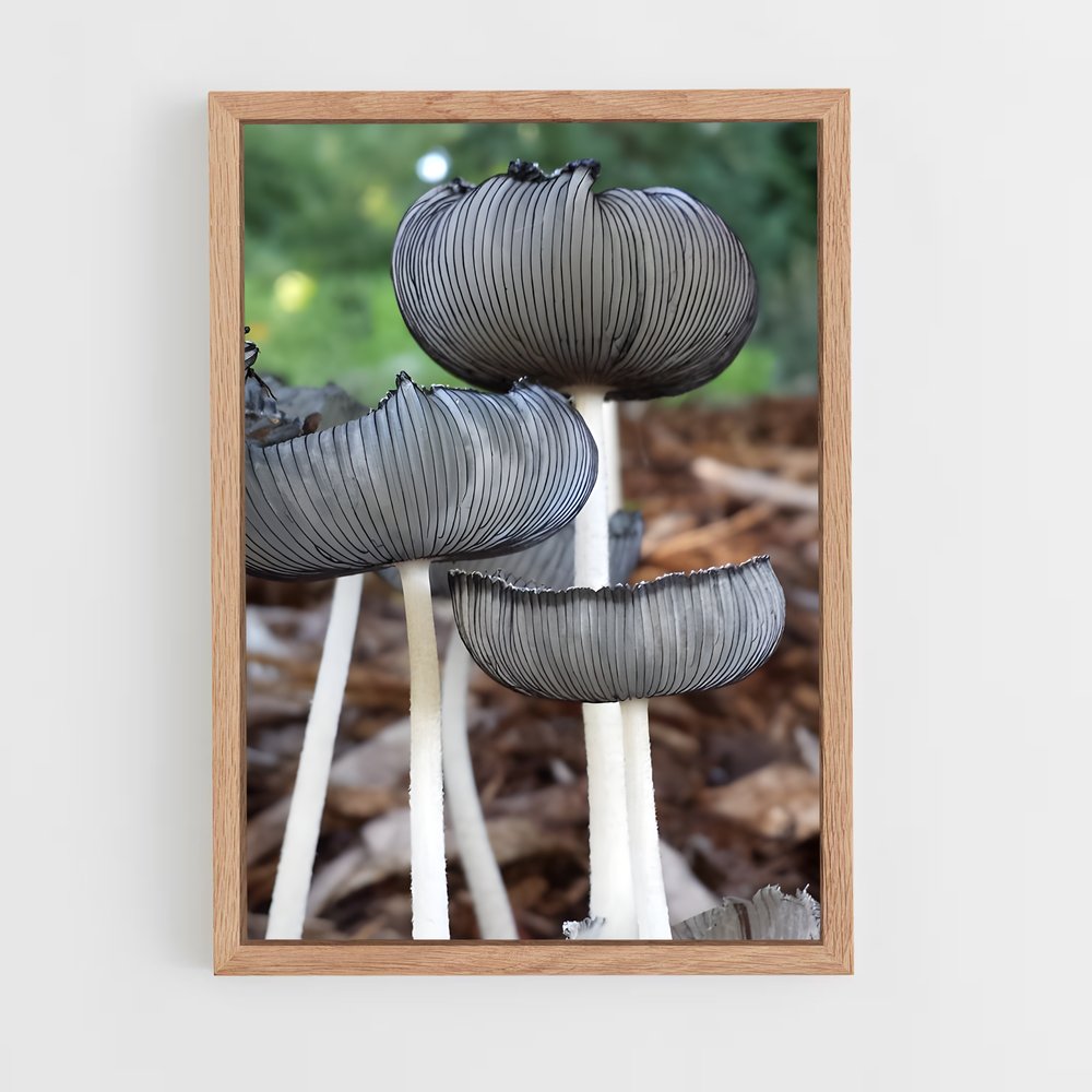 ap-liberty cap-2 cadre Bois clair