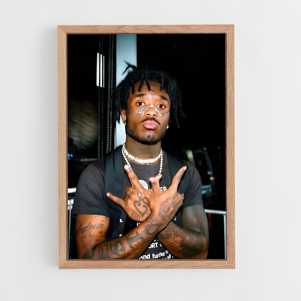 ap-lil uzi vert-5 cadre Bois clair