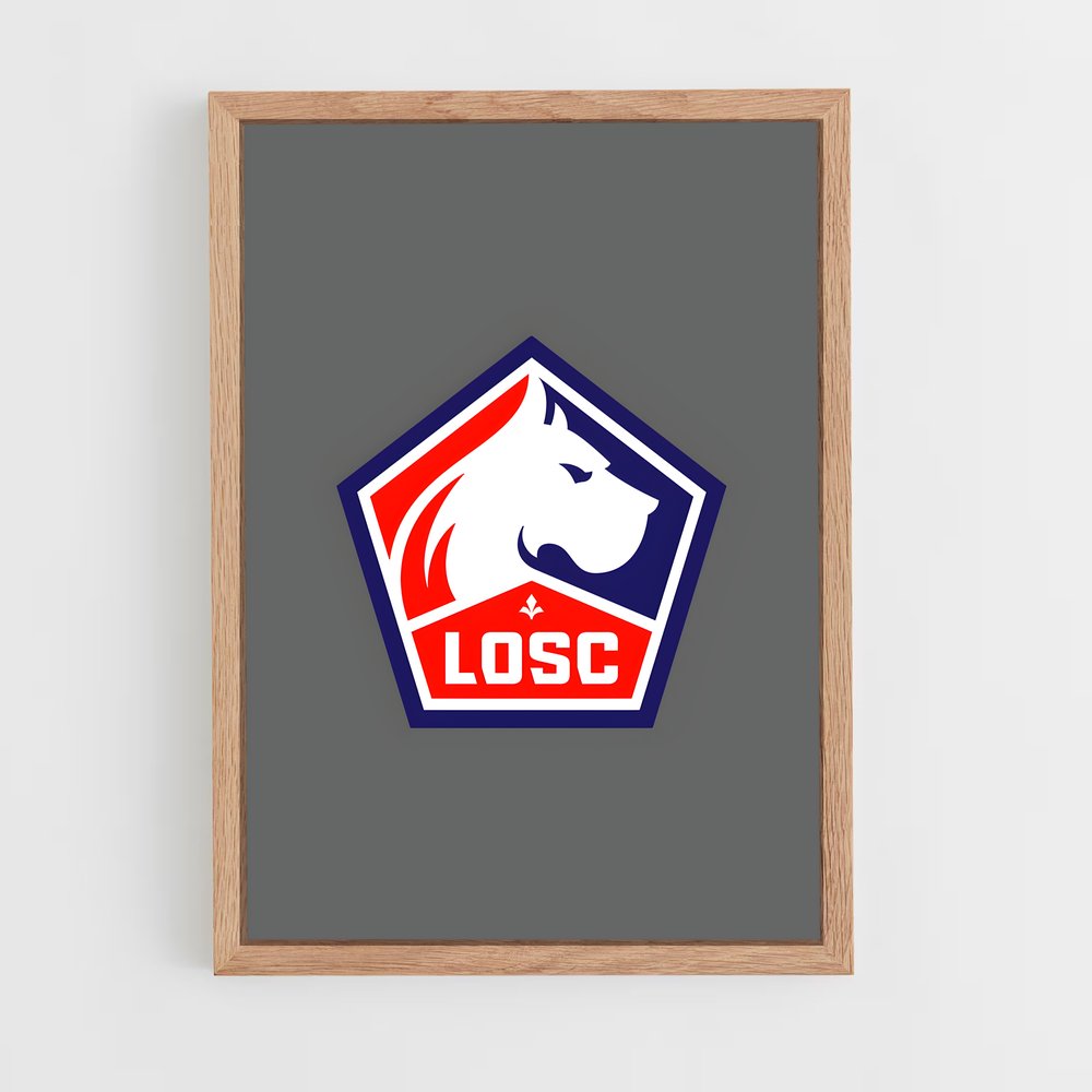 ap-lille osc-9 cadre Bois clair